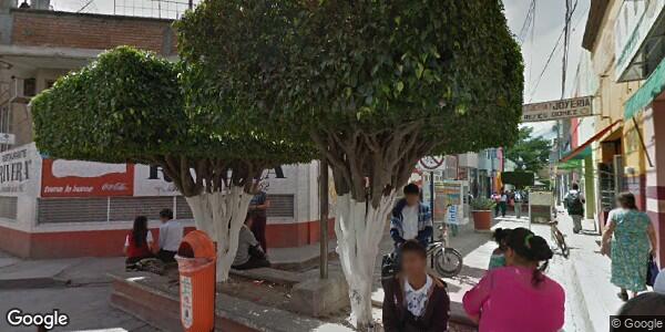 DEPARTAMENTO DE ECOLOGÍA